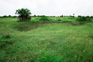 Mradi Wa Viwanja Kigamboni Puna