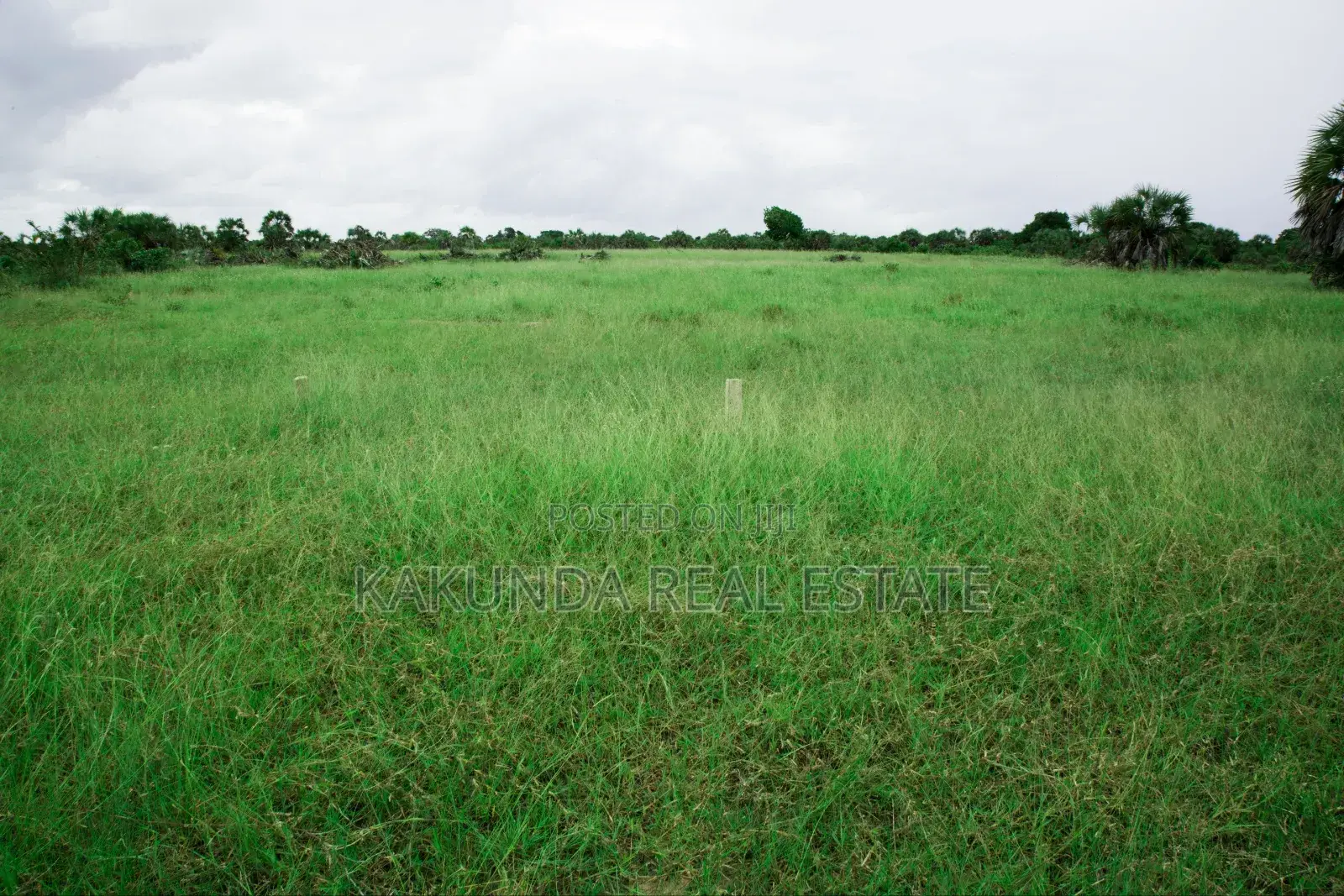Mradi Wa Viwanja Kigamboni Puna
