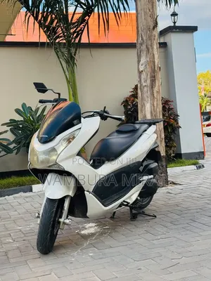 Honda 2025 White