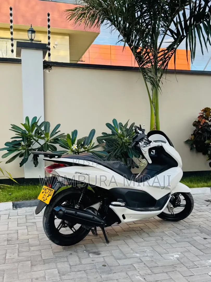 Honda 2025 White