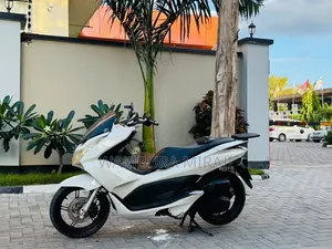 Honda 2025 White