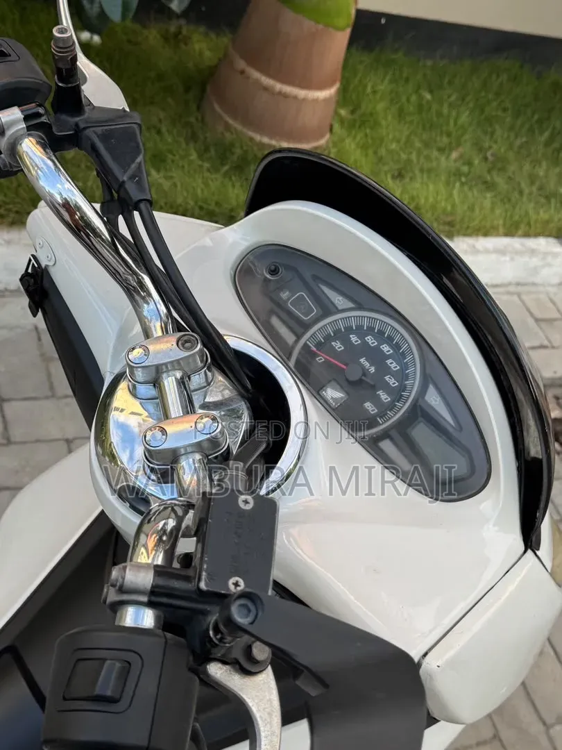 Honda 2025 White