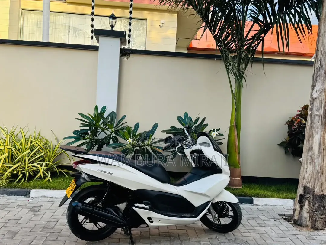 Honda 2025 White