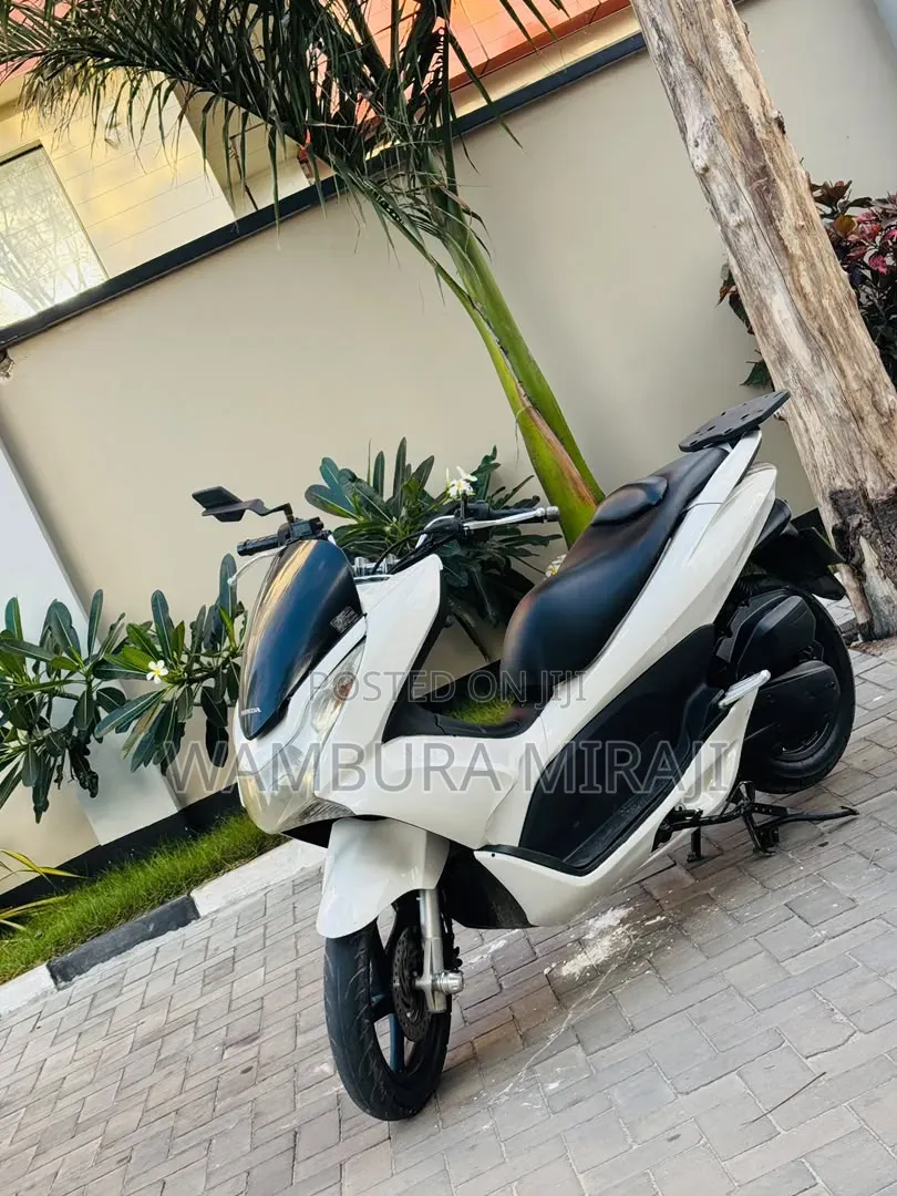 Honda 2025 White