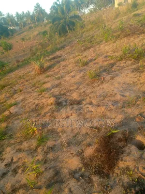 Viwanja Vinaunzwa