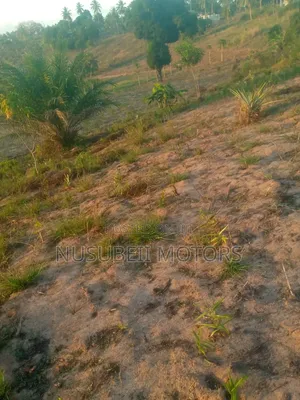 Viwanja Vinaunzwa