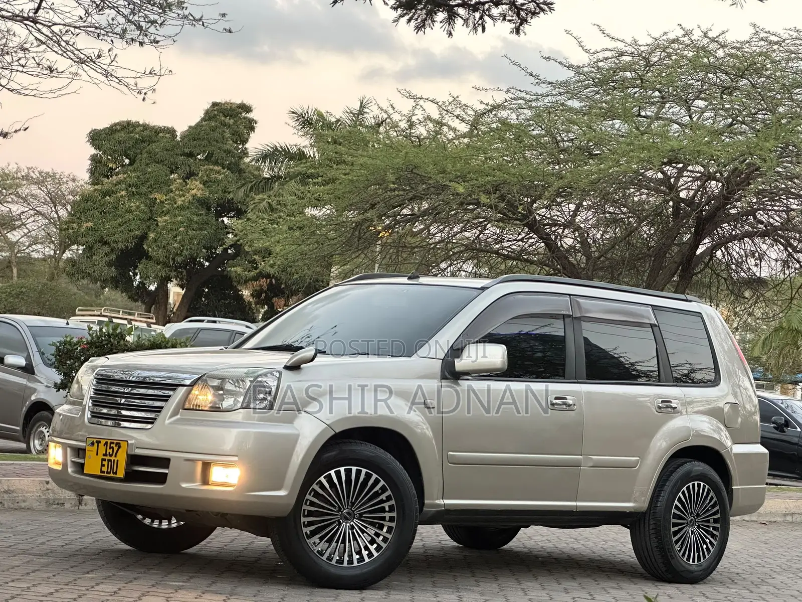 Nissan X-Trail 2.0 2005 Beige