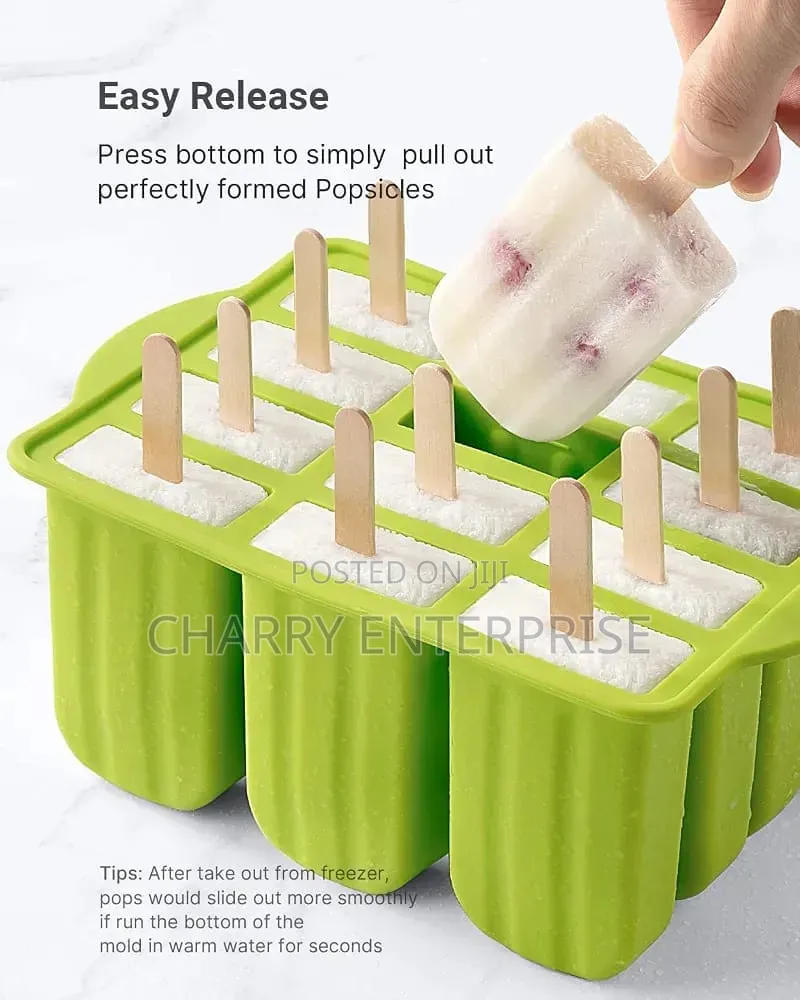 Ice Cream Mold Easy to Wash