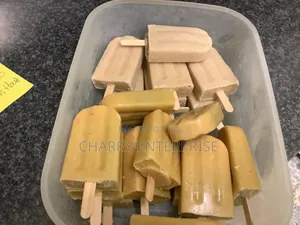 Ice Cream Mold Easy to Wash