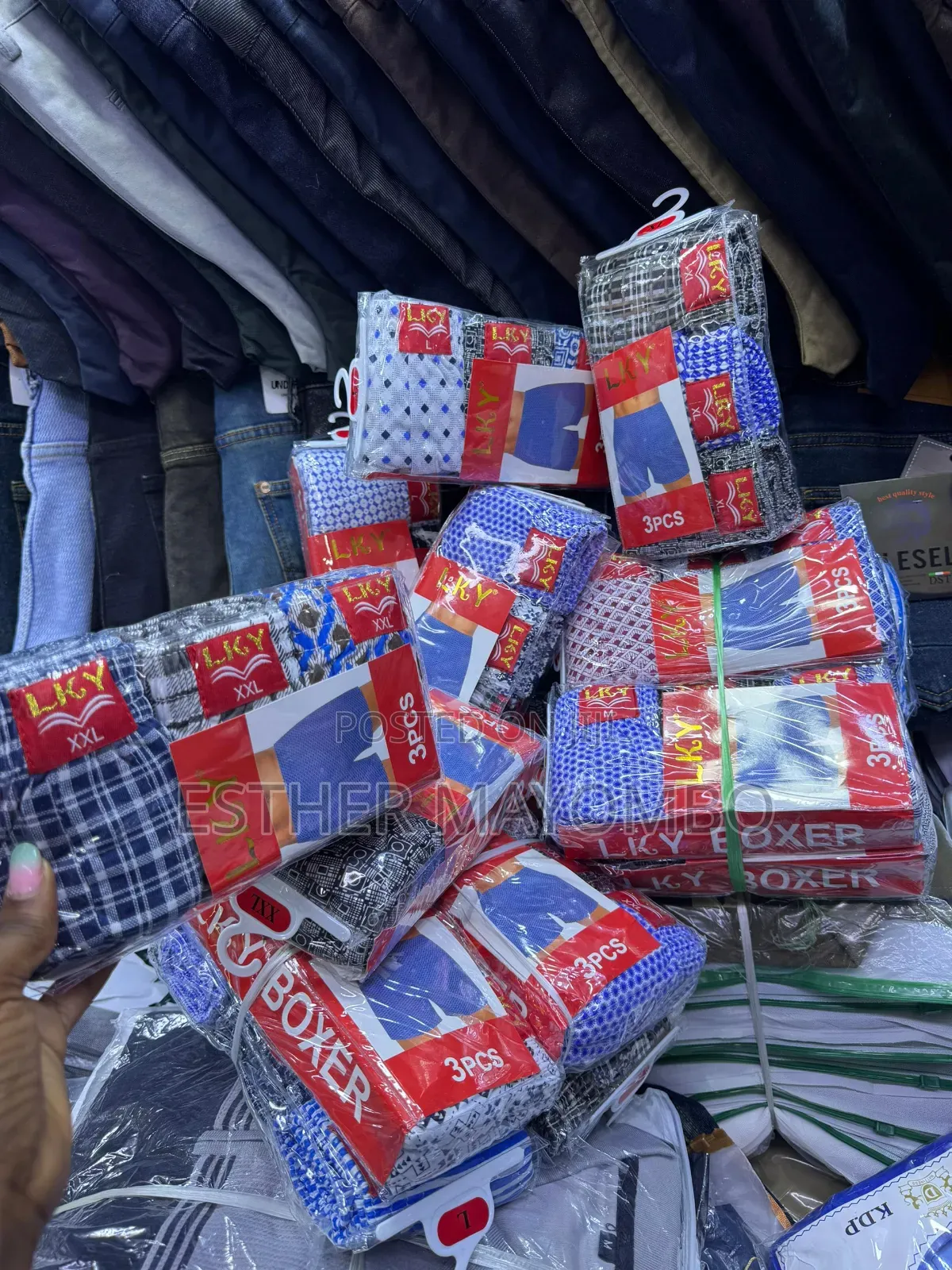 Boxer for Man