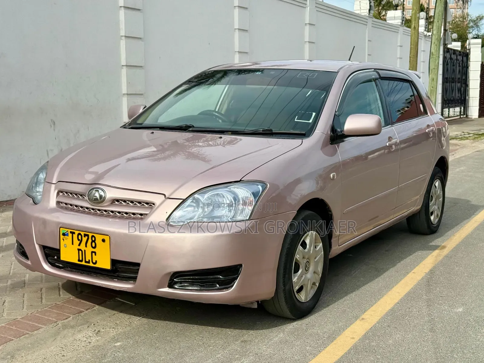 Toyota Allex 2003 Pink