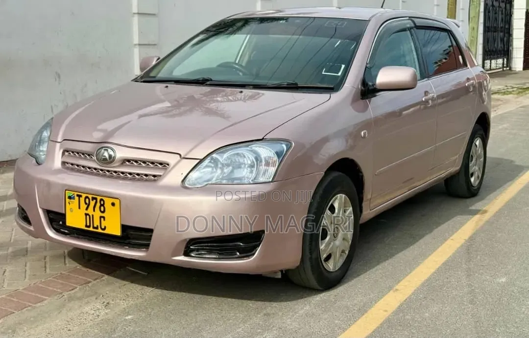 Toyota Allex 2004 Ivory