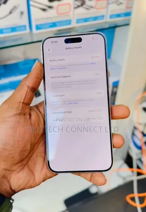 Apple iPhone 15 Pro Max 512 GB Silver