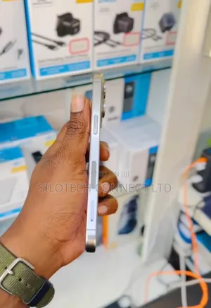 Apple iPhone 15 Pro Max 512 GB Silver