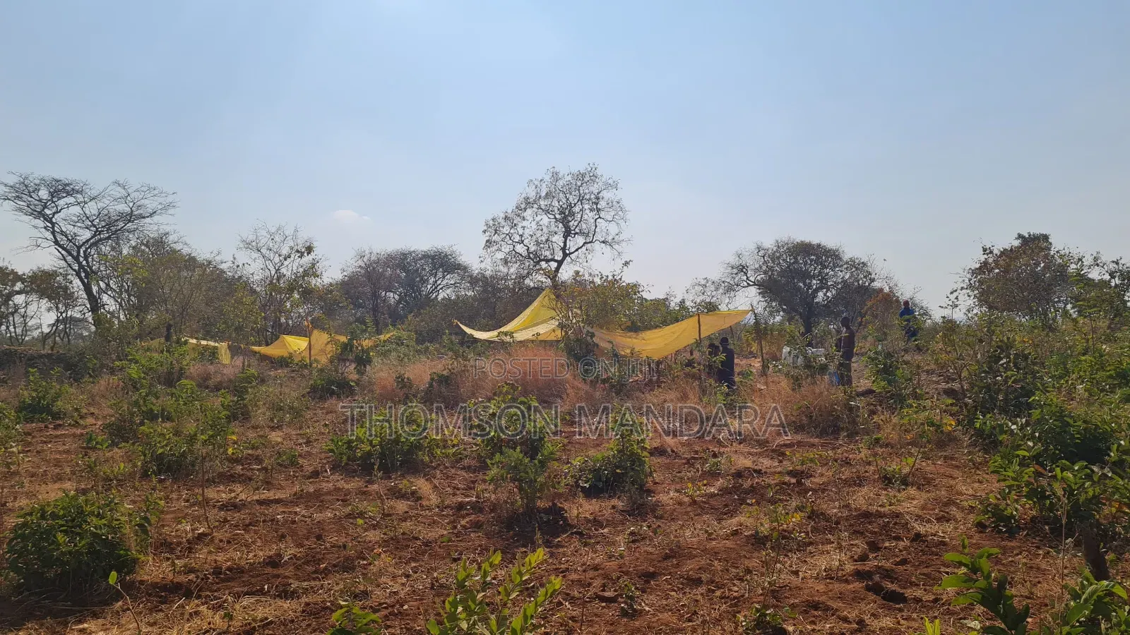 Gold PMLS – Itumbi, Chunya | Jv Investor Wanted