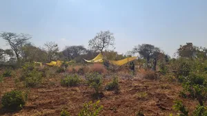 Gold PMLS – Itumbi, Chunya | Jv Investor Wanted
