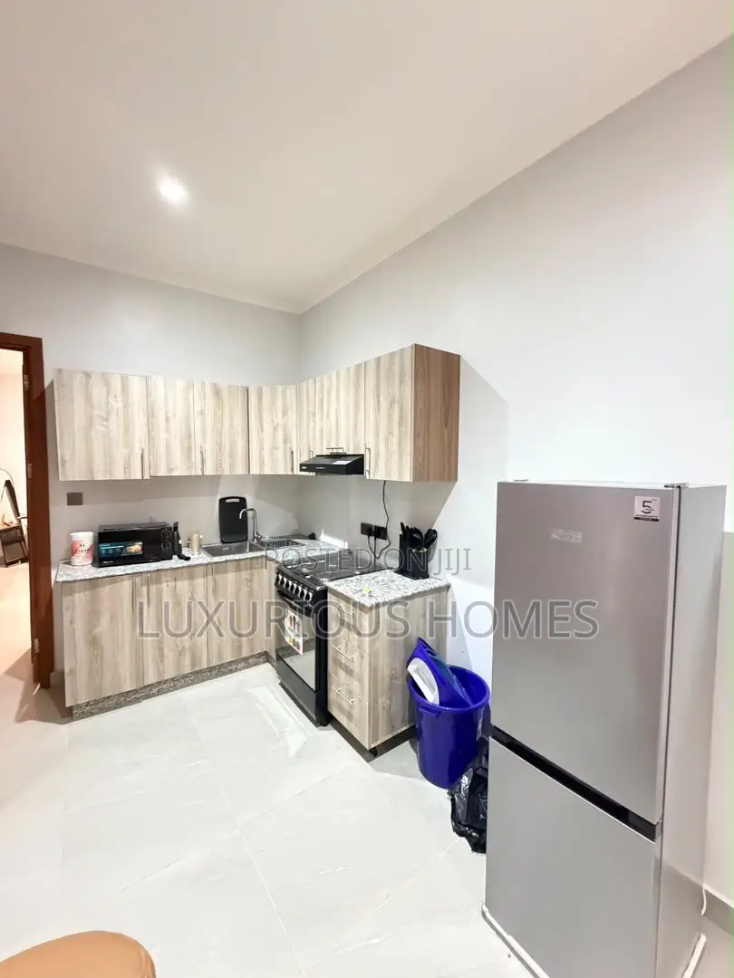 Furnished 1bdrm Apartment in Mikocheni for rent