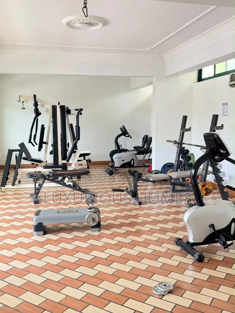 Furnished 2bdrm Apartment in Upanga West for rent