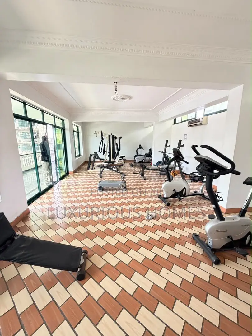 Furnished 2bdrm Apartment in Upanga West for rent