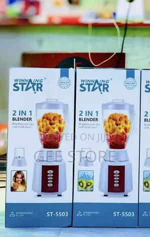 Winning Star Blender 2 in 1 1.5L