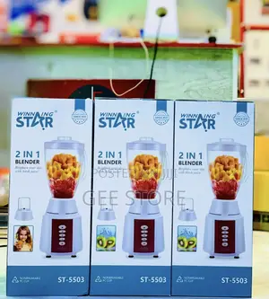 Winning Star Blender 2 in 1 1.5L