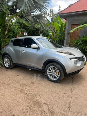 Nissan Juke 2011 Silver