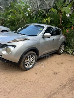 Nissan Juke 2011 Silver
