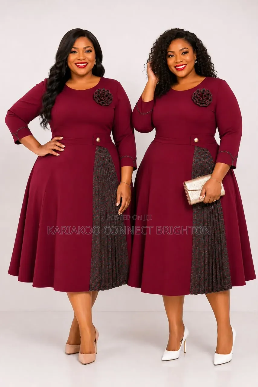 Brown Accent Pleated Women's Elegant Dress