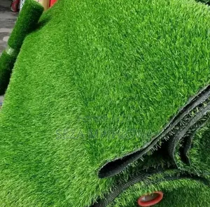 ​Carpet Turf / Gilini Kapeti Ya Nyasi ​Premi