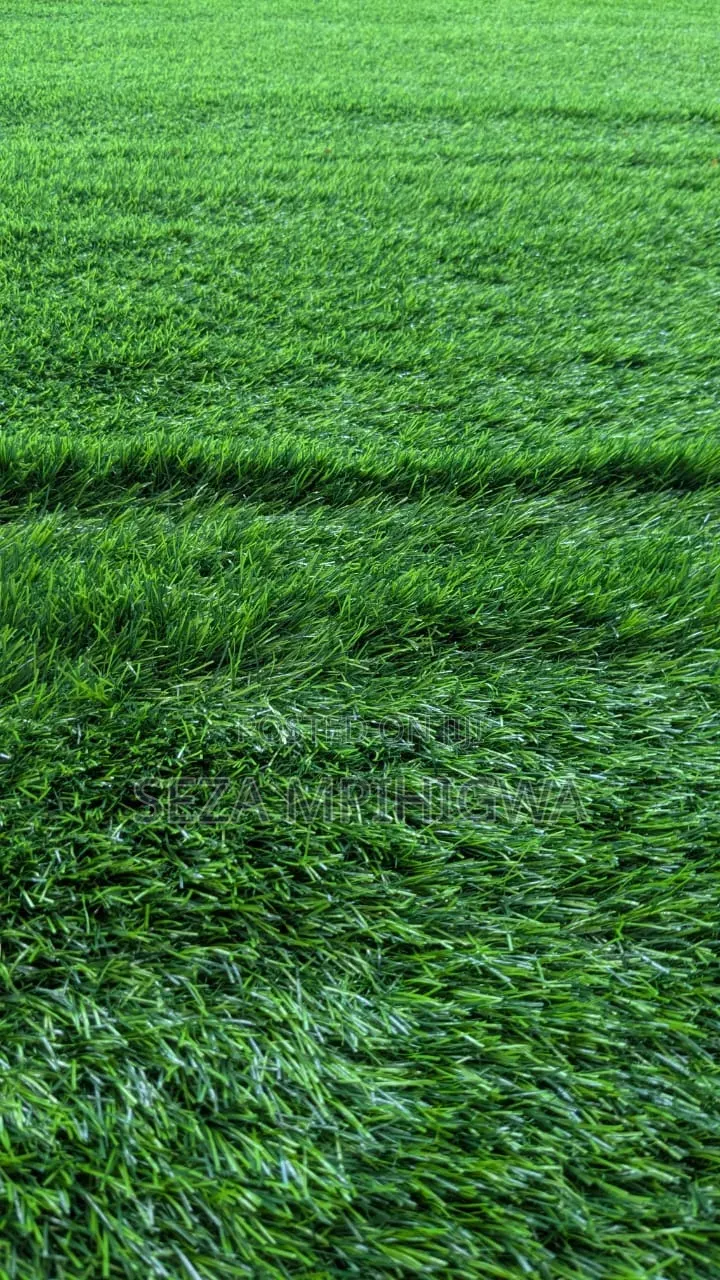 ​Carpet Turf / Gilini Kapeti Ya Nyasi ​Premi