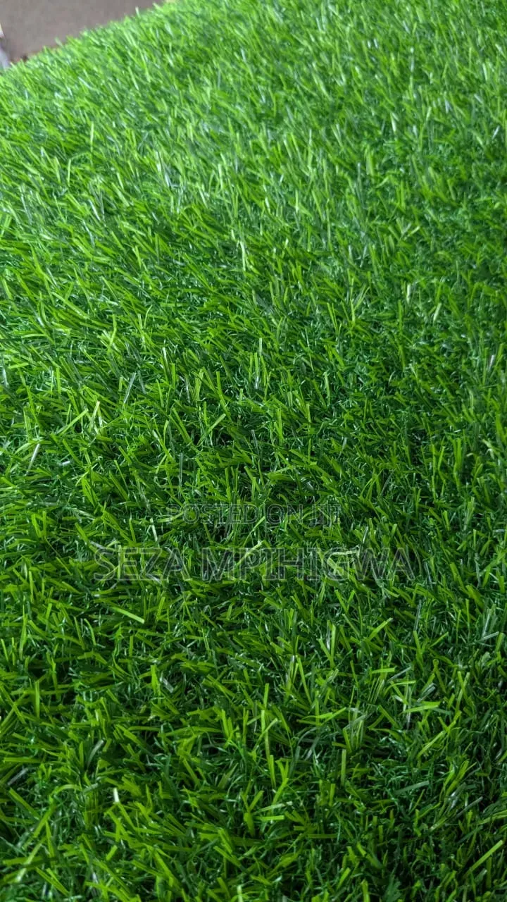 ​Carpet Turf / Gilini Kapeti Ya Nyasi ​Premi