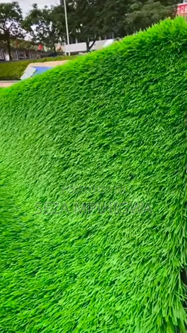 ​Carpet Turf / Gilini Kapeti Ya Nyasi ​Premi