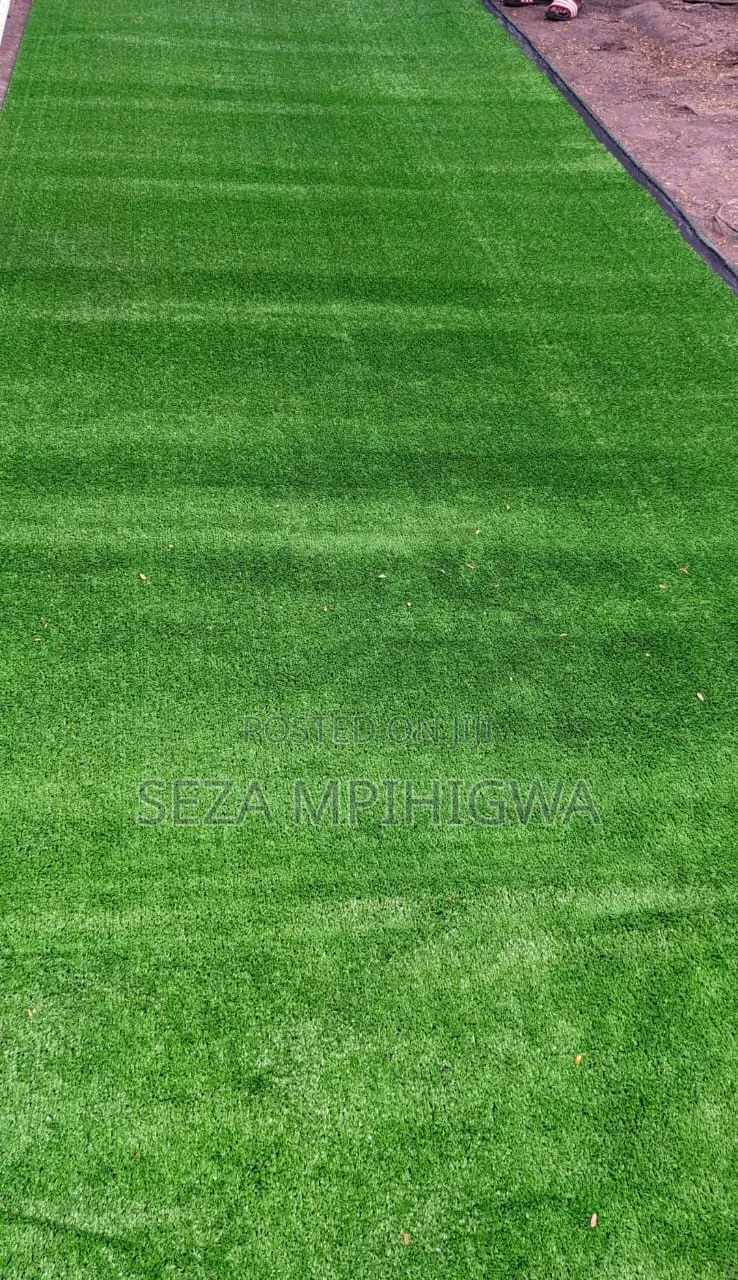 ​Carpet Turf / Gilini Kapeti Ya Nyasi ​Premi