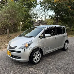 Toyota Ractis 2009 Silver