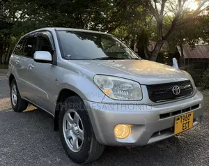 Toyota RAV4 2004 Silver