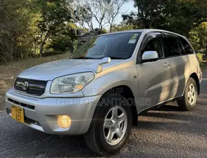 Toyota RAV4 2004 Silver