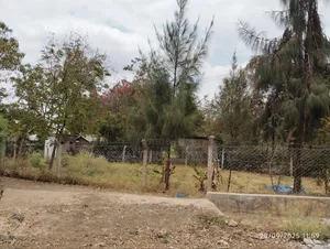 Plot for Sale 400 SQM TSH 57M, Njiro Climax, Nalopa Schools EAC Bypas