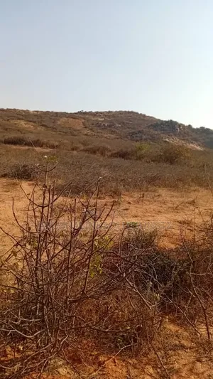 Plots for Sale, 16, 30, 6 Accres,