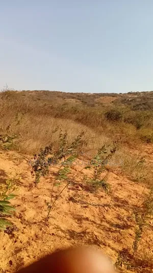 Plots for Sale, 16, 30, 6 Accres,