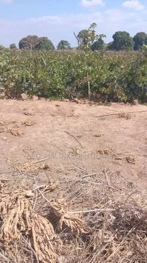 Plots for Sale, 16, 30, 6 Accres,