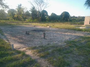 Uwanja Unauzwa Chanika Karibu Na Mtaa Wa Kidugalo - 3.2m