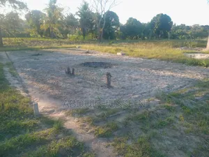 Uwanja Unauzwa Chanika Karibu Na Mtaa Wa Kidugalo - 3.2m