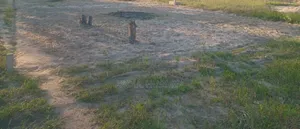 Uwanja Unauzwa Chanika Karibu Na Mtaa Wa Kidugalo - 3.2m