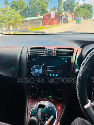 Toyota Mark X Zio 2007 Gray