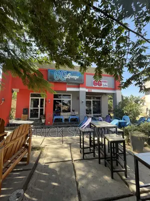 Bartender and Waiter Ilazo Dodoma