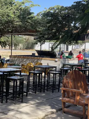 Bartender and Waiter Ilazo Dodoma