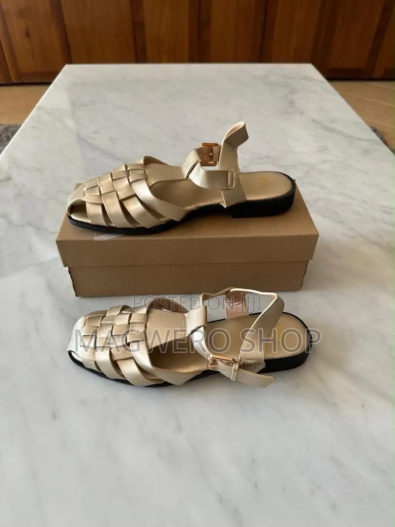 Zara Shous