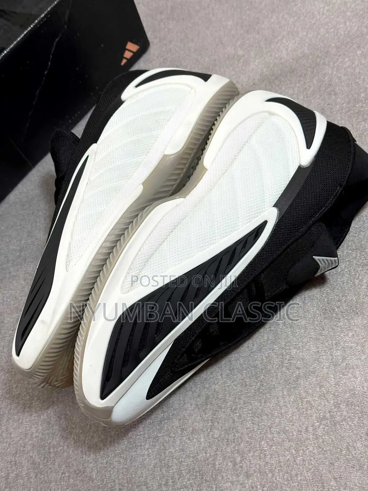 Anthony Edwards 2 Shoes