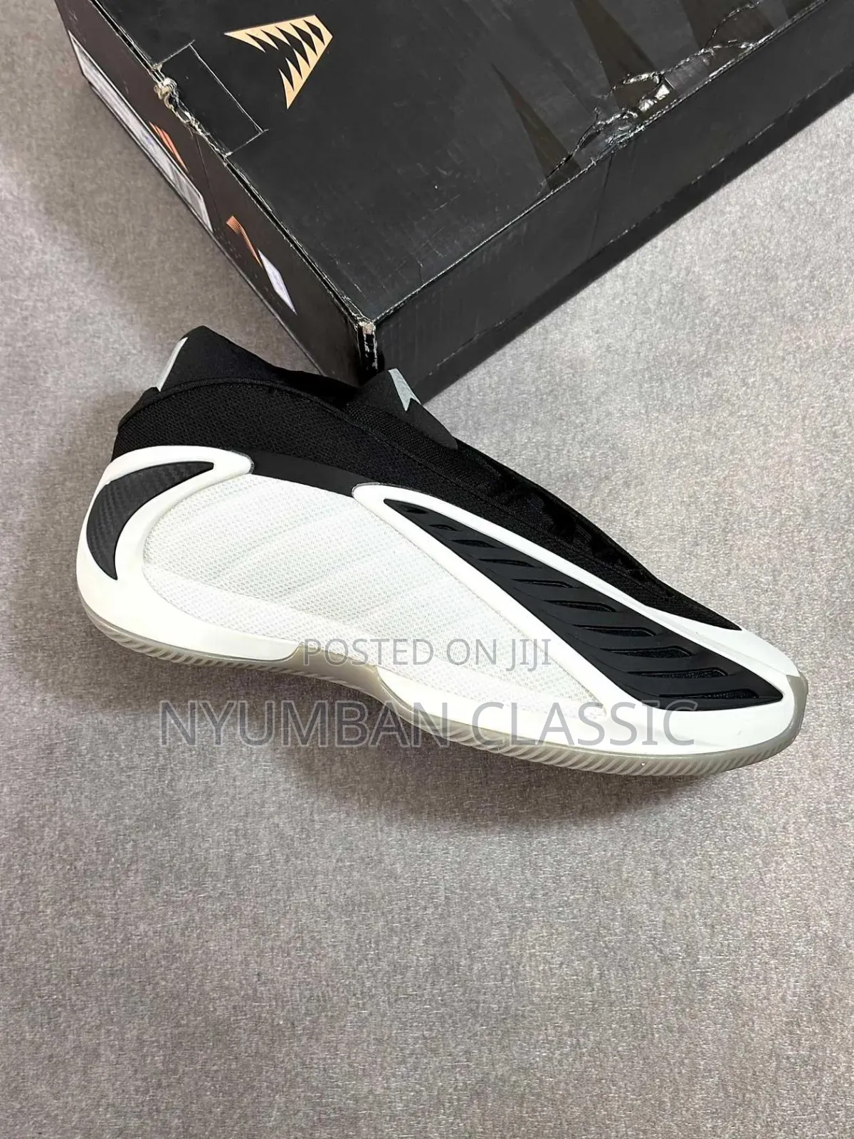 Anthony Edwards 2 Shoes