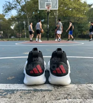 Adidas Ea1 Basketball Shoes